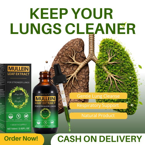 Mullein Leaf Extract