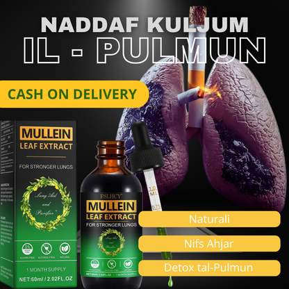 Mullein Leaf Extract